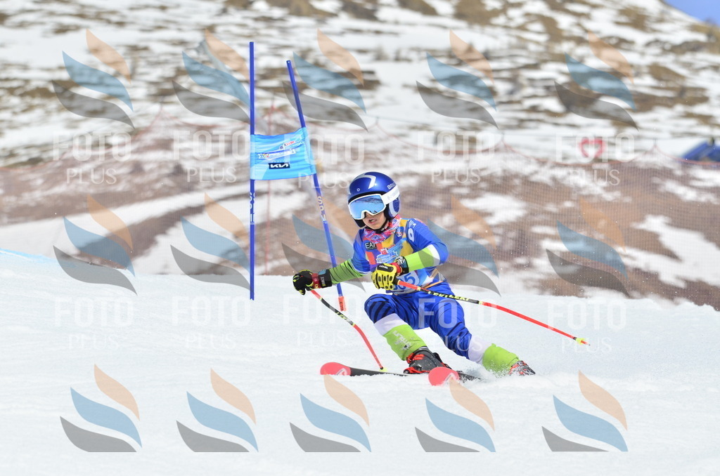 _ELE2253 | holidayphoto