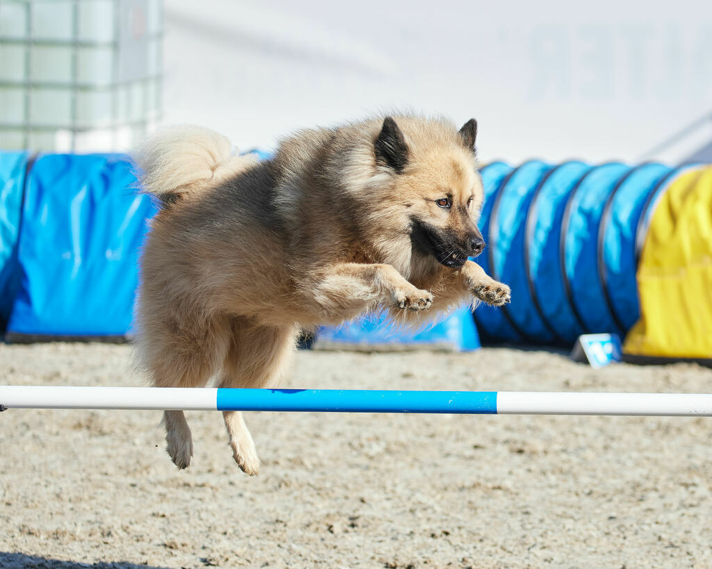 580A0111 | Peter Fridle Fotografie - Realisiert mit Pictrs.com