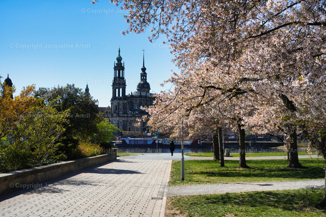 Frühling_Dresden | Fotografie Photography Dresden Photoshooting  Fotoshooting Fotografin Dresdencity Bilder  Foto Dresdenvideos Kalender Postkarten Bilderdownload Portrait Hochzeitsfotografie Familienfotos Bewerbungsbilder Studiofotografie Fotograf Dresdenbilder Business - Realisiert mit Pictrs.com