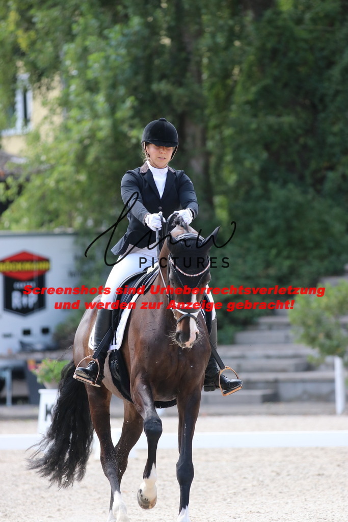 IMG_4460 | lmwpictures - Realisiert mit Pictrs.com