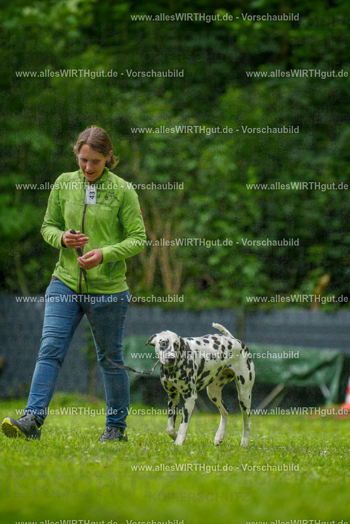 @allesWIRTHgut_Tierfotografie - www.allesWIRTHgut.de - 135240-7R500119 | Professionelle Tierfotografie in Mönchengladbach von Daniel Wirth (allesWIRTHgut). Liebevolle & natürliche Bilder von Hunden & Katzen für unvergessliche Erinnerungen.