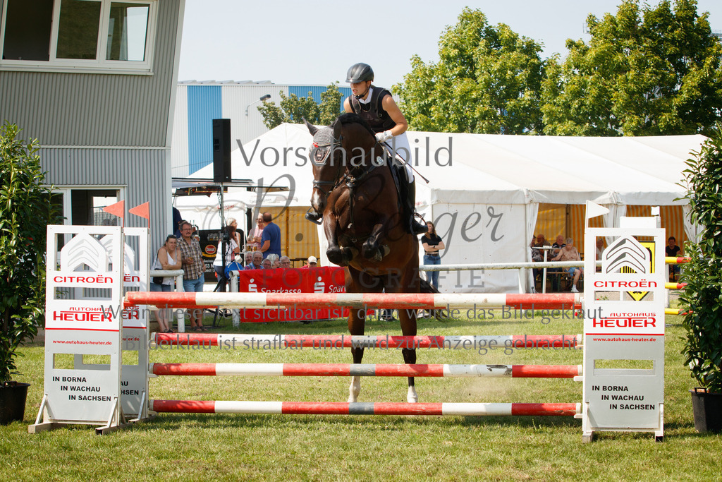 IMG_3538 | P. Berger Fotografie - Realisiert mit Pictrs.com