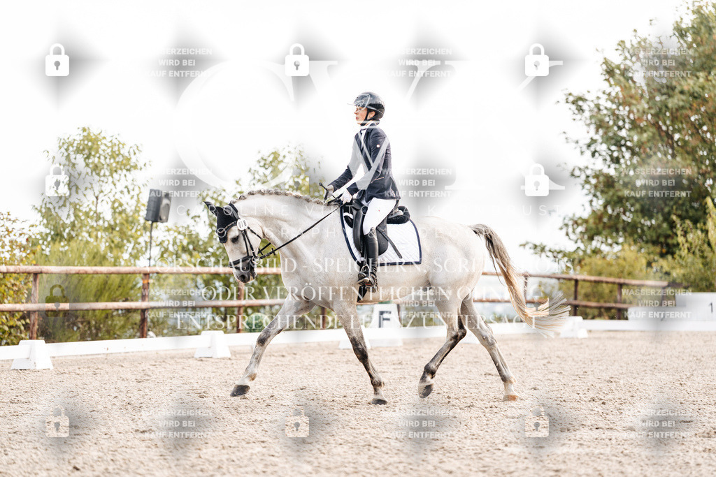 CK900540 | Turnierfotografie Pferdefotografie Trier Rheinland-Pfalz Pferdesport Reitsport Tierfotografie Sportfotografie Pferdevideo Pferdevideografie Equestrianvideography equestrianphotography  - Realisiert mit Pictrs.com