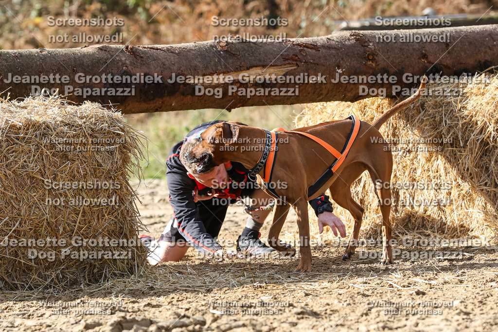 Dog Paparazzi - Strongdog 10-25-5330 | Dog Paparazzi Jeanette Grottendiek Fotografie & Videografie - Realisiert mit Pictrs.com