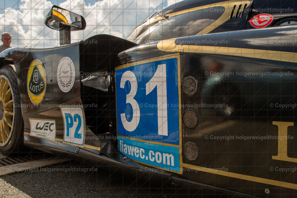20250906114505D75_6245 | Bitte beachten!!!
Alle Fotos dieser Galerie sind nur grundbearbeitet. Im Falle eines Verkaufs, werde ich die Fotots noch mit dem nötigen Feinschliff versehen. - Realisiert mit Pictrs.com