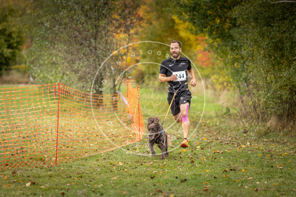 Pfotenfotografie_DV3A4255 | Hundefotografie, Tierfotograf, Pfotenfotografie, Fotoshooting Hund, Hunde Portrait, Hundesport, Hundeportraits, Heideshooting, Hunde, Sportfotograf, Hundefotograf, Turnierhundsport, THS,  - Realisiert mit Pictrs.com