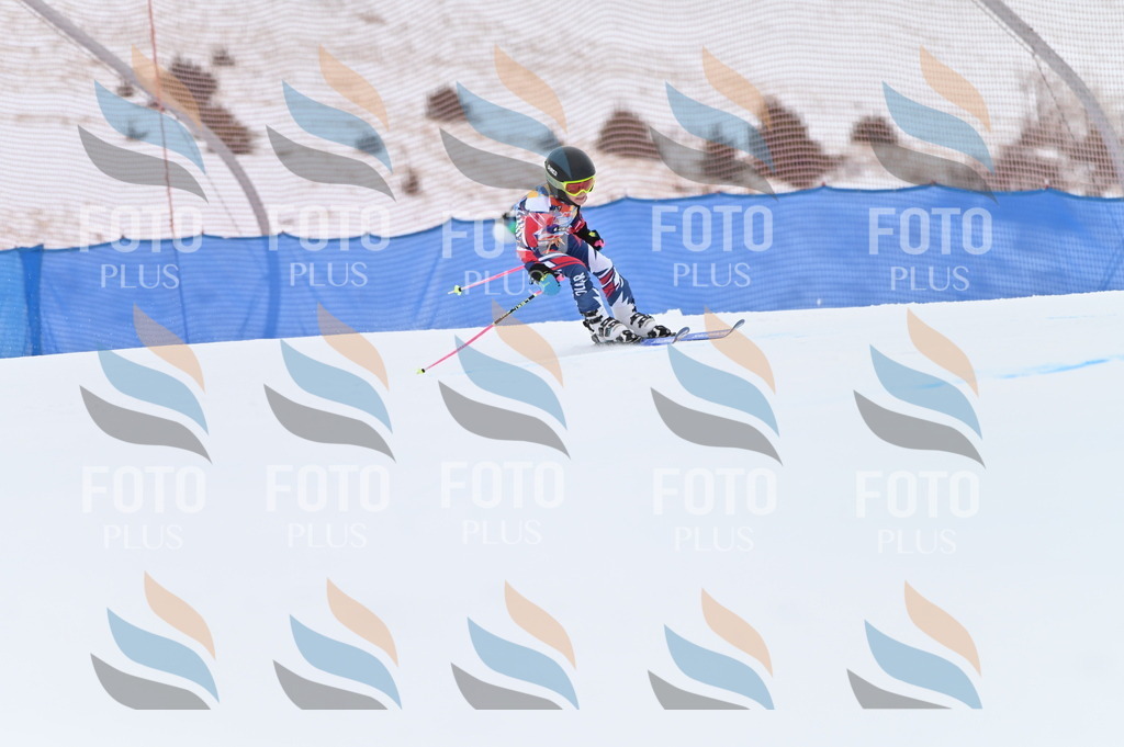 BGV_3145 | holidayphoto