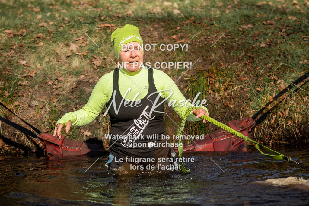 nelerasche_FS0900-1000_211 | nelerasche
