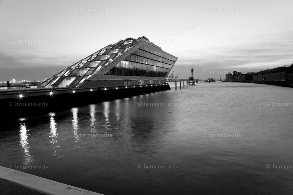 Hamurg_Arts-004 | Photo Foto Kunst Art schwarzweiss Bilder Rheine Münster Berlin Blumen 