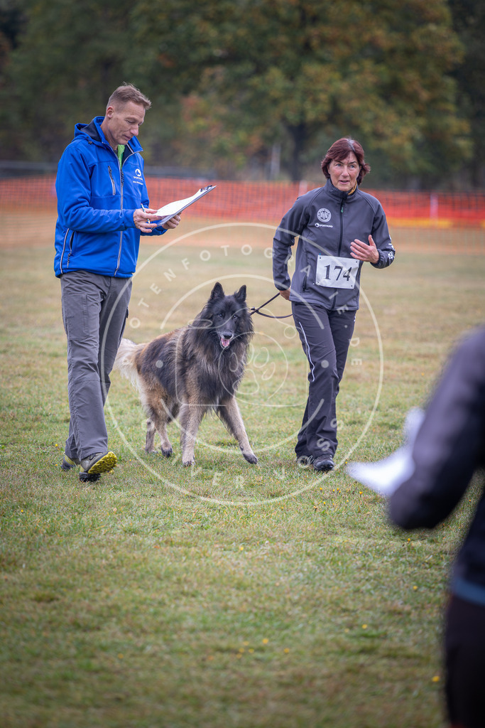 Pfotenfotografie_DV3A9289 | Hundefotografie, Tierfotograf, Pfotenfotografie, Fotoshooting Hund, Hunde Portrait, Hundesport, Hundeportraits, Heideshooting, Hunde, Sportfotograf, Hundefotograf, Turnierhundsport, THS,  - Realisiert mit Pictrs.com