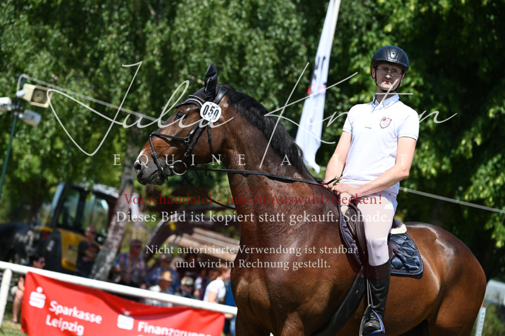 DSC_0860 | Pferde- und Turnierfotografie in Westsachsen. Pferdeportraits, Auftragszeichnungen und intuitive Kunst.