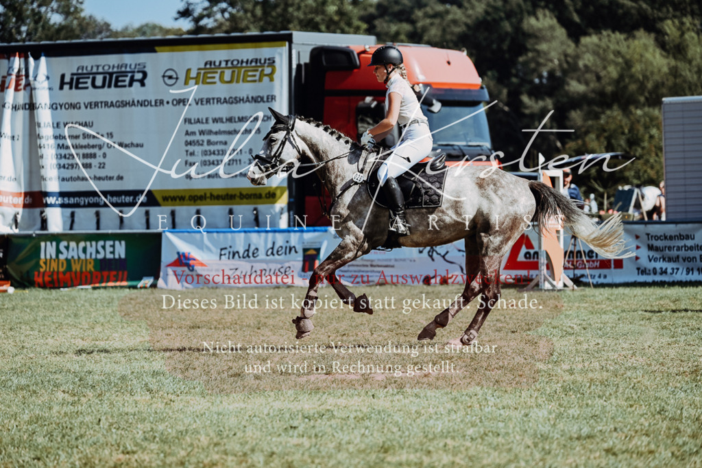 DSC_6792 | Pferde- und Turnierfotografie in Westsachsen. Pferdeportraits, Auftragszeichnungen und intuitive Kunst.