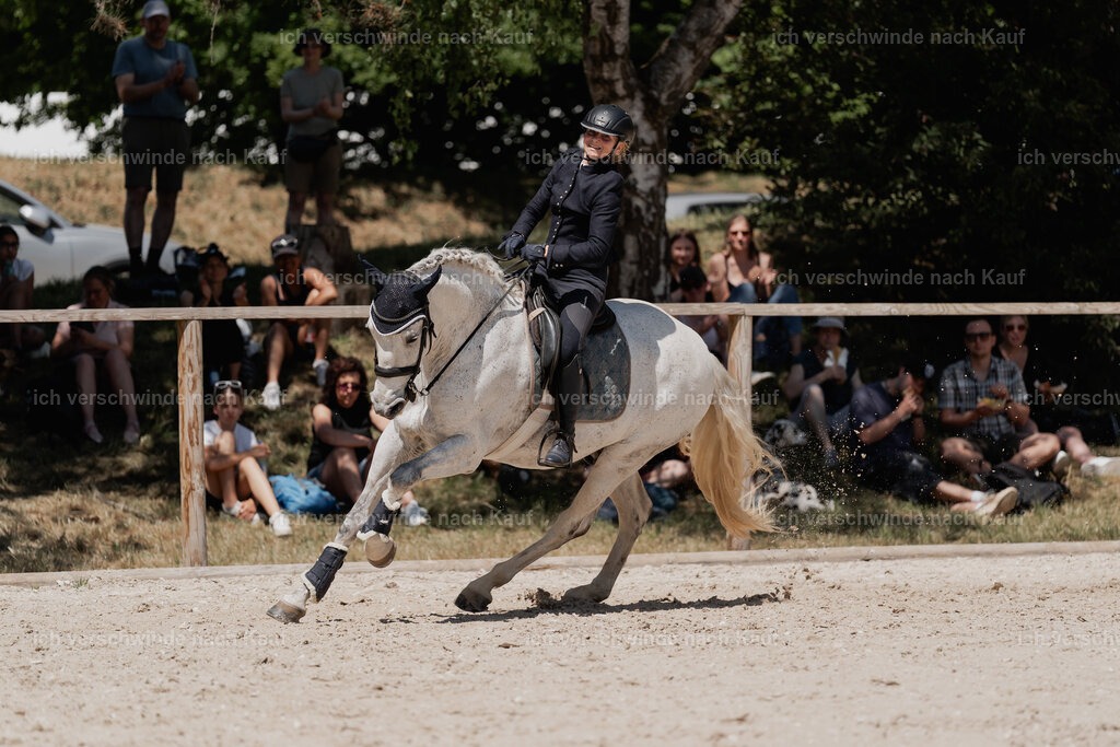 WE_SP_Stoib_331_PI2025_1840 | Pferd International München 2025