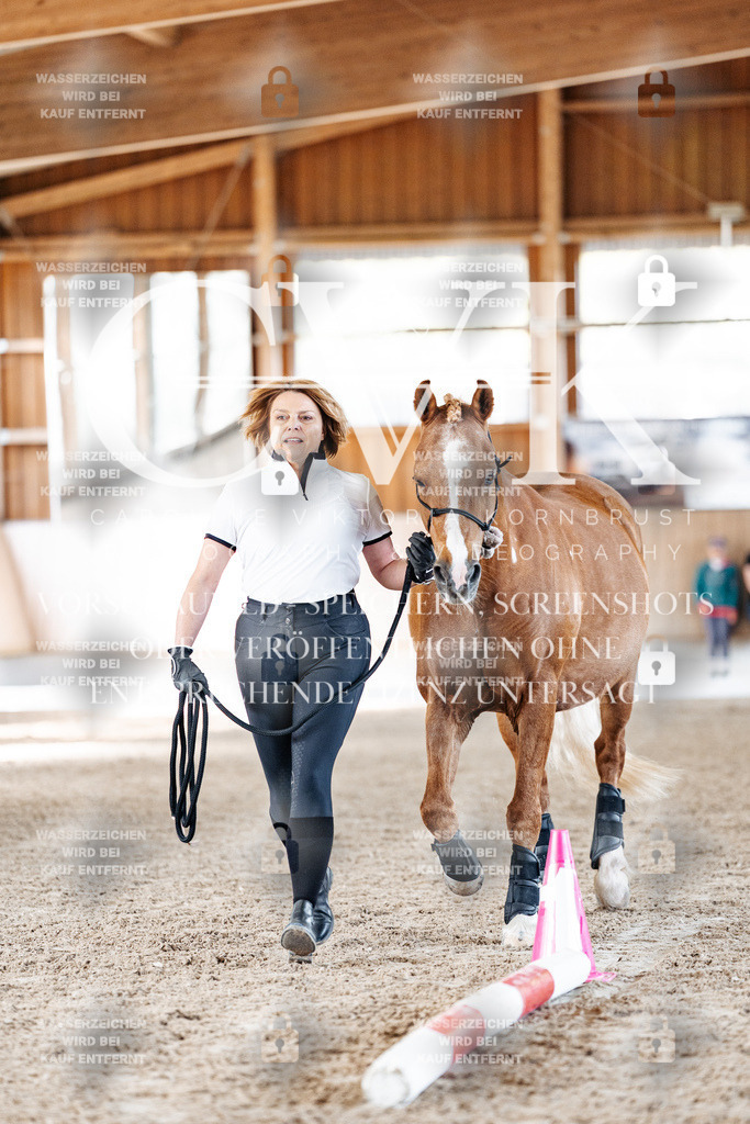 CK905560 | Turnierfotografie Pferdefotografie Trier Rheinland-Pfalz Pferdesport Reitsport Tierfotografie Sportfotografie Pferdevideo Pferdevideografie Equestrianvideography equestrianphotography  - Realisiert mit Pictrs.com