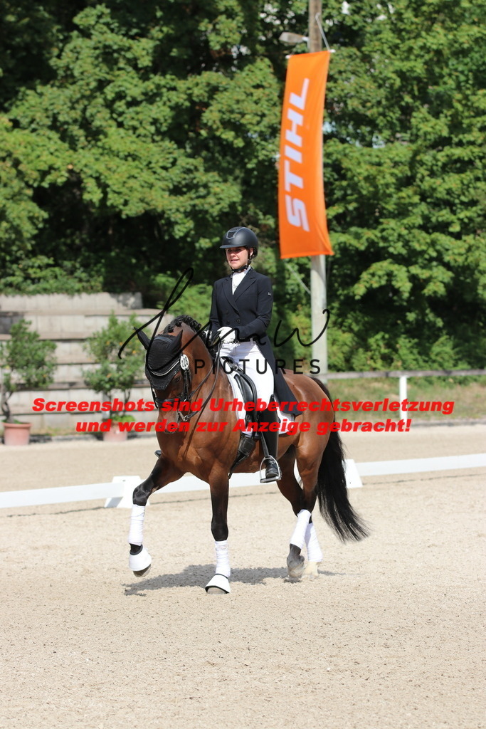 IMG_1321 | lmwpictures - Realisiert mit Pictrs.com