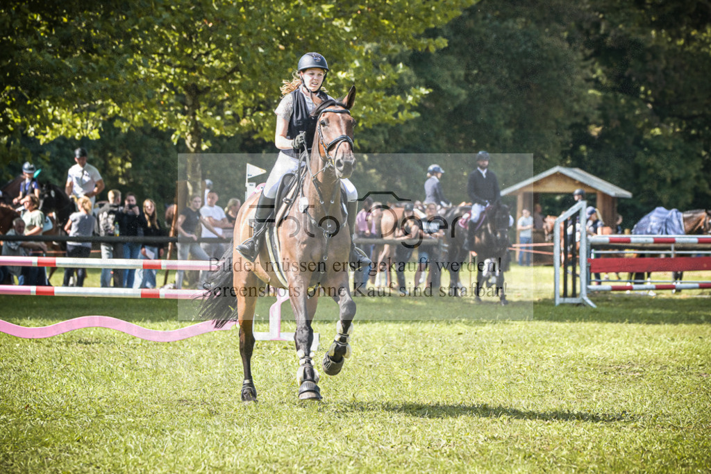 DOS_0496 | Entdecke hochwertige Reitturnierfotos von Foto Oger. Professionell, emotional und authentisch – jetzt Lieblingsmomente im Shop bestellen.Deutschlandweite Turnierfotografie. - Realisiert mit Pictrs.com