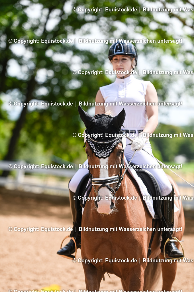 20230716_03_Dressurprfg. Kl.L - Tr._0519 | equistock