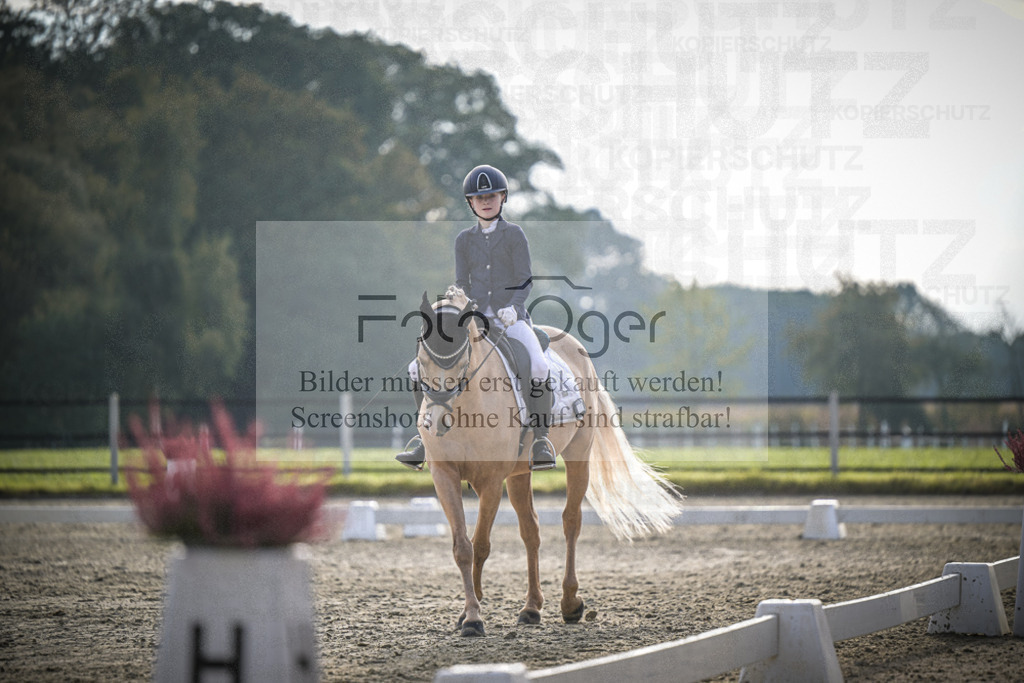 DOS_4790 | Entdecke hochwertige Reitturnierfotos von Foto Oger. Professionell, emotional und authentisch – jetzt Lieblingsmomente im Shop bestellen.Deutschlandweite Turnierfotografie. - Realisiert mit Pictrs.com