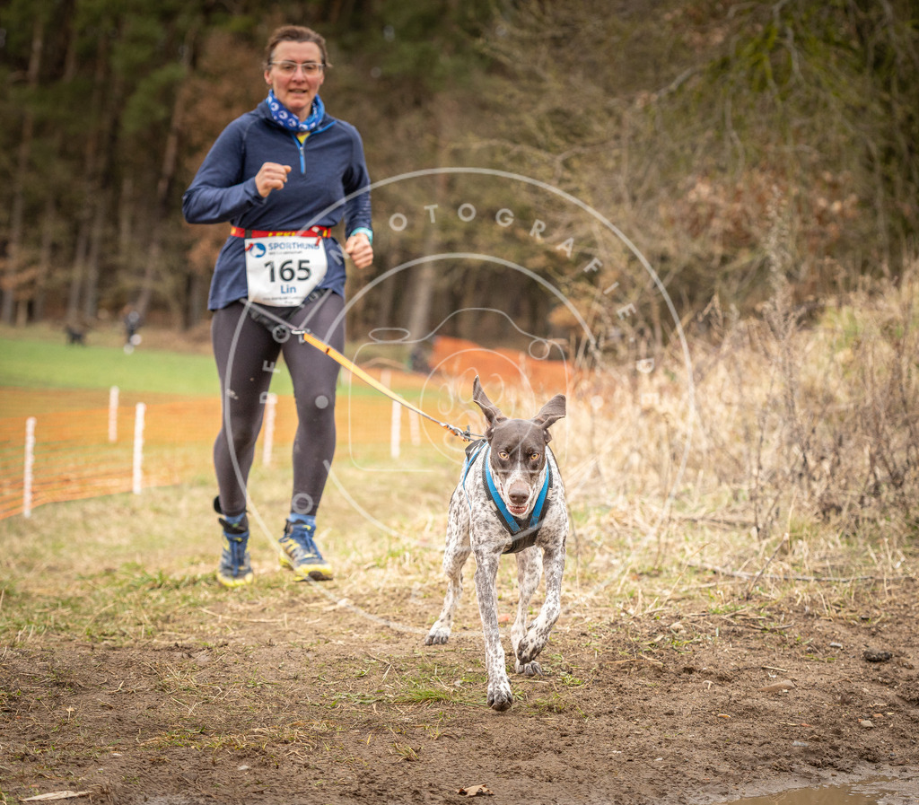 DV3A2161 | Hundefotografie, Tierfotograf, Pfotenfotografie, Fotoshooting Hund, Hunde Portrait, Hundesport, Hundeportraits, Heideshooting, Hunde, Sportfotograf, Hundefotograf, Turnierhundsport, THS,  - Realisiert mit Pictrs.com