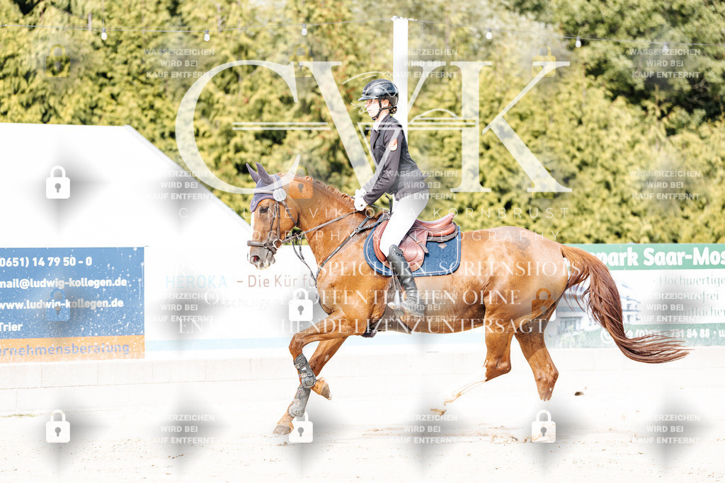 CK908859 | Turnierfotografie Pferdefotografie Trier Rheinland-Pfalz Pferdesport Reitsport Tierfotografie Sportfotografie Pferdevideo Pferdevideografie Equestrianvideography equestrianphotography  - Realisiert mit Pictrs.com
