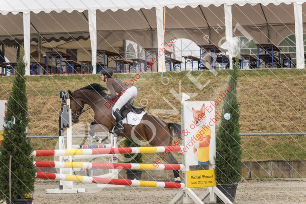 4V3A4737 | Sport-, Event- und Tierfotos in Profiqualität. Einfach auswählen, bestellen und herunterladen. Dein Moment – perfekt festgehalten.