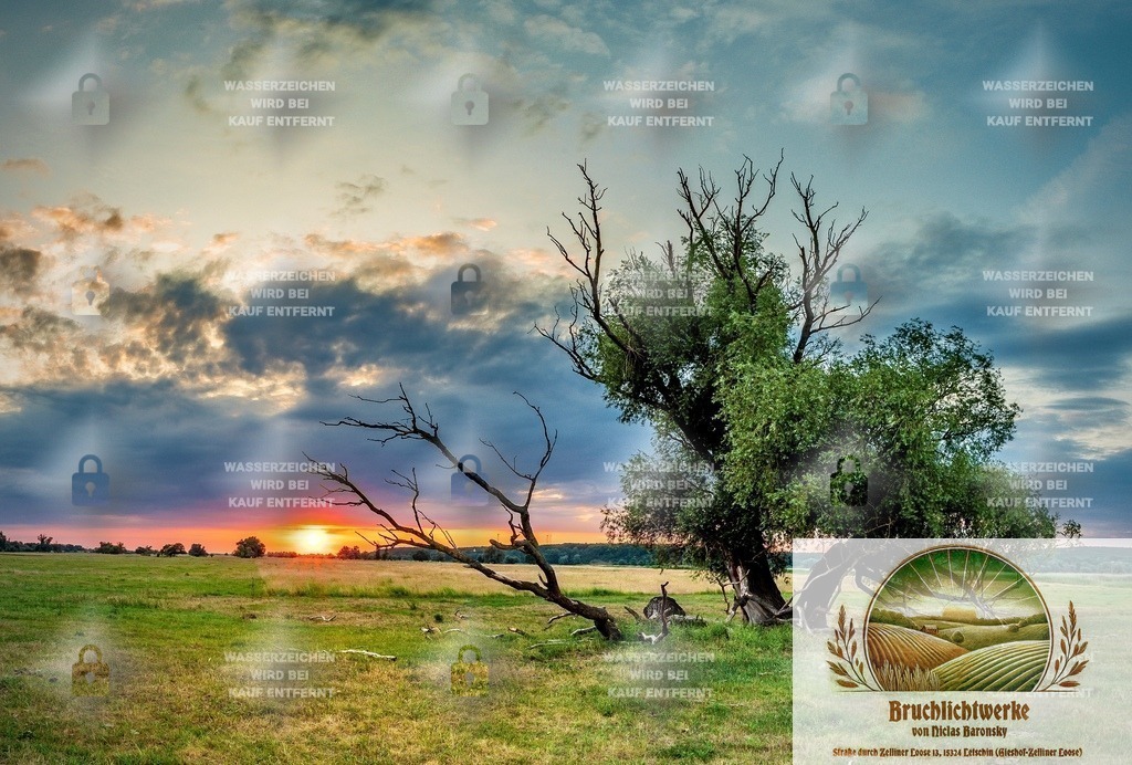 Oderbruchleuchten | Professioneller Fotograf mit 10 Jahren Erfahrung. Landschafts- und Hochzeitsfotografie im Oderbruch. Workshops und beeindruckende Bilder für besondere Momente.