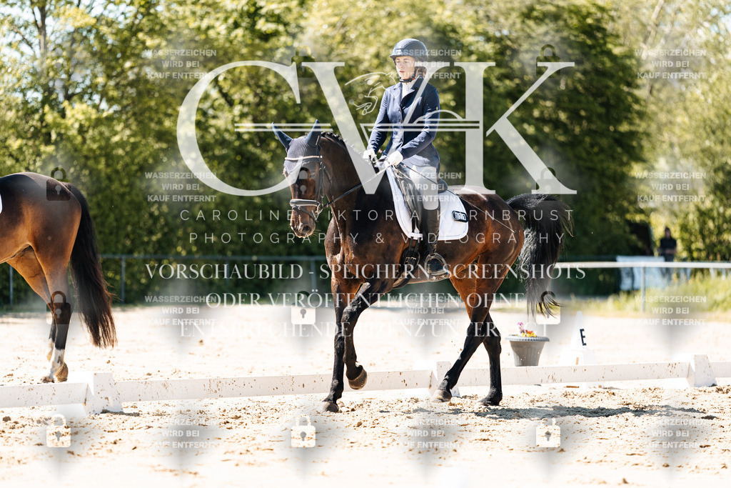 CK905353 | Turnierfotografie Pferdefotografie Trier Rheinland-Pfalz Pferdesport Reitsport Tierfotografie Sportfotografie Pferdevideo Pferdevideografie Equestrianvideography equestrianphotography  - Realisiert mit Pictrs.com