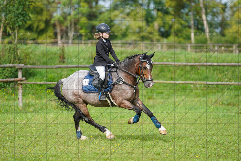 20230917-FAH09191 | Landsberg am Lech, 2023, Kaufbeuren, Kempten, Allgäu, Turnierfotografen Bayern, Fotoagentur Herrmann, Turnierbilder, Reitsport Fotos, Pferdefotograf, Augsburg, Bad Tölz, Dachau, Karlsfeld, Memmingen, Buchloe, Schwabmünchen