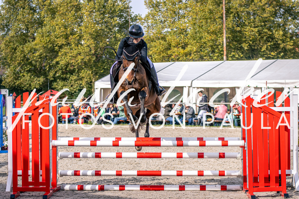 IMG_5434 | Erleben Sie dynamische Sport- und emotionale Tierfotografie in Süddeutschland mit Fotos von Paula. Spezialisiert auf Pferde- und Hundefotografie sowie Sportevents. Kontaktieren Sie mich für einzigartige und ausdrucksstarke Bilder Ihrer besonderen Momente. - Realisiert mit Pictrs.com