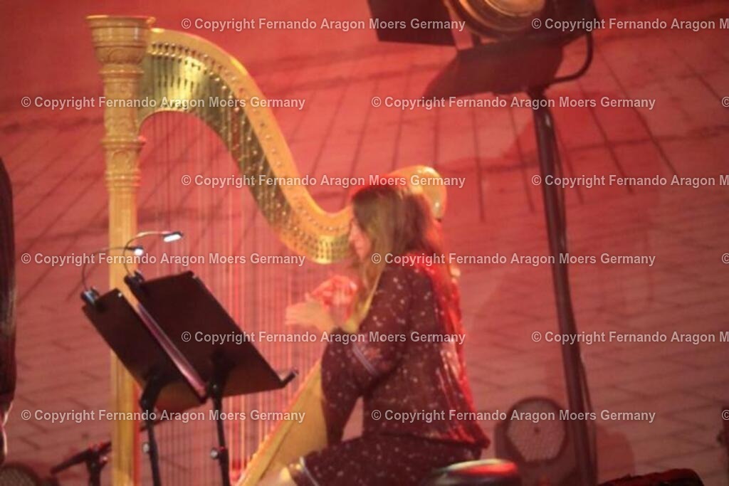 IMG_4616 | aragon-pics - Realisiert mit Pictrs.com