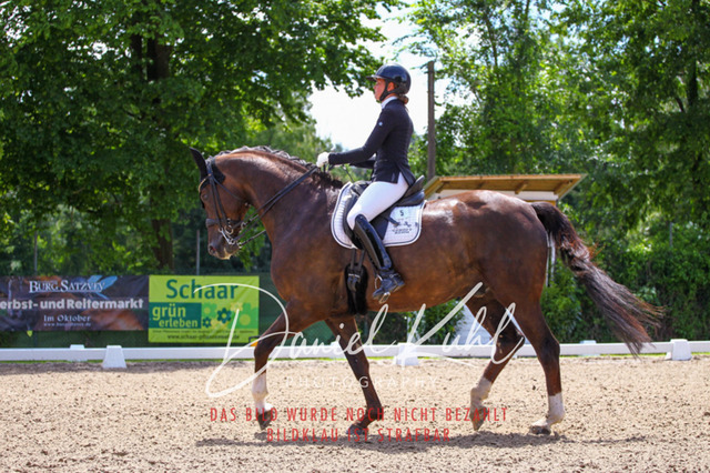 DKP40951 | Turnierfotos kaufen im Webshop von Daniel Kuhl Photography – entdecke professionelle Reitsportfotos aus Turnieren & Events. Hochwertige Turnierbilder online bestellen & sichern. Jetzt Fotos von Reitsportturnieren kaufen!