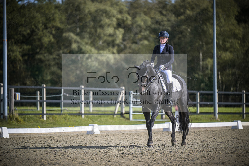 DOS_1585 | Entdecke hochwertige Reitturnierfotos von Foto Oger. Professionell, emotional und authentisch – jetzt Lieblingsmomente im Shop bestellen.Deutschlandweite Turnierfotografie. - Realisiert mit Pictrs.com