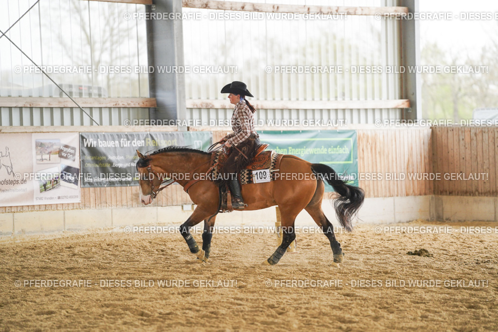 DSC05618 | Pferdegrafie