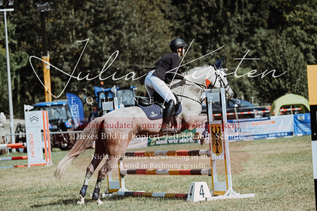 DSC_9481 | Pferde- und Turnierfotografie in Westsachsen. Pferdeportraits, Auftragszeichnungen und intuitive Kunst.