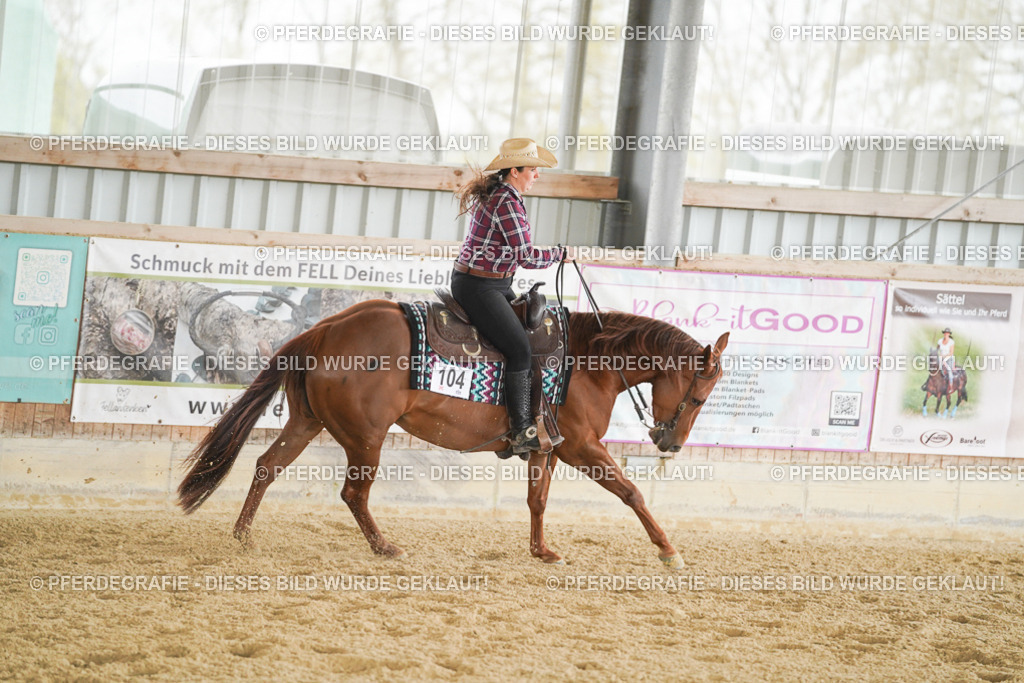 DSC03978 | Pferdegrafie