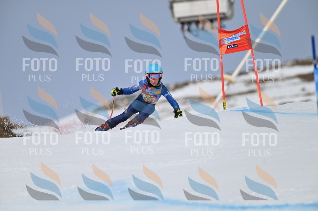 BGV_5293 | holidayphoto