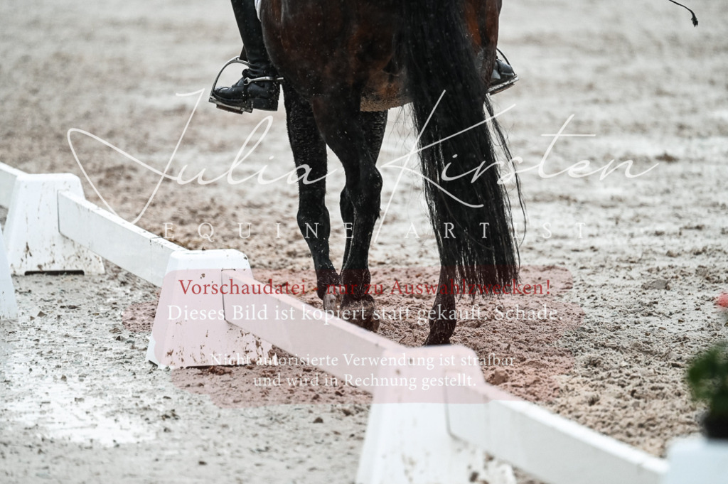 DSC_4665 | Pferde- und Turnierfotografie in Westsachsen. Pferdeportraits, Auftragszeichnungen und intuitive Kunst.