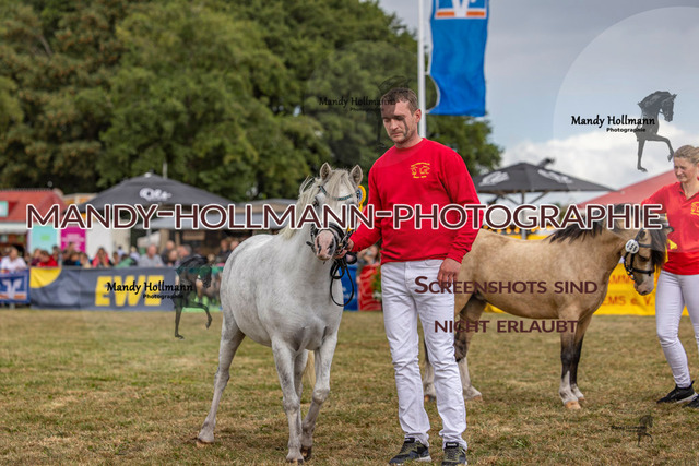 Wel (185 von 433) | mandyhollmannphotographie