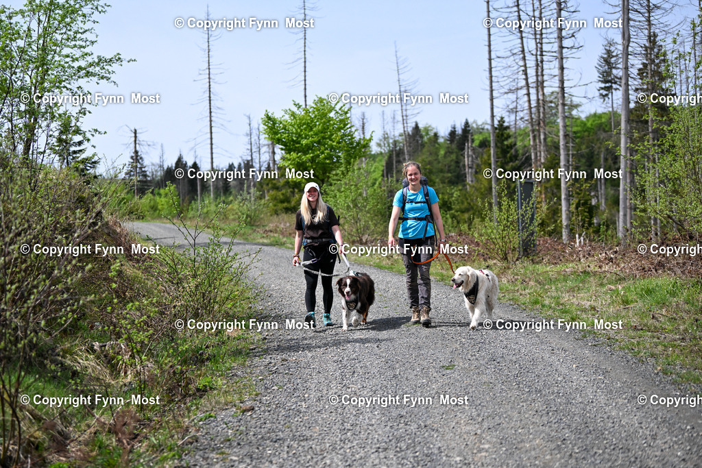 DSC_3993 | Hallo und herzlich Willkommen auf meiner Shop-Seite Fynn Most.

Ich wünsche Dir viel Spaß beim stöbern durch die Bilder, wenn Du Fragen hast oder Bilder vermisst, kannst du mir gerne eine Nachricht schreiben. - Realisiert mit Pictrs.com