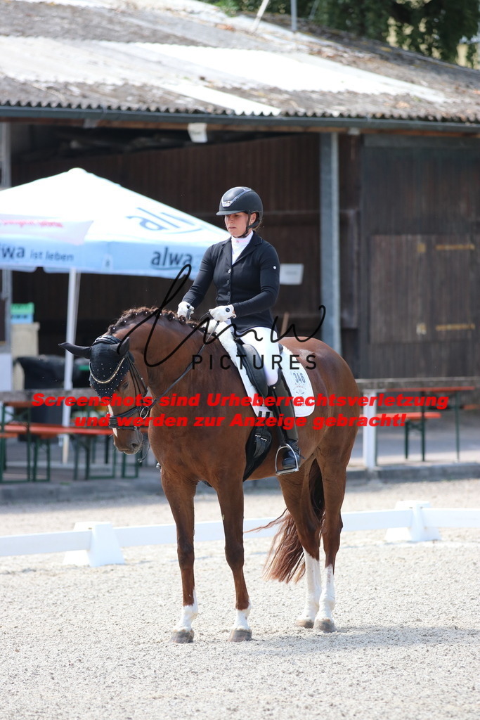 IMG_4371 | lmwpictures - Realisiert mit Pictrs.com