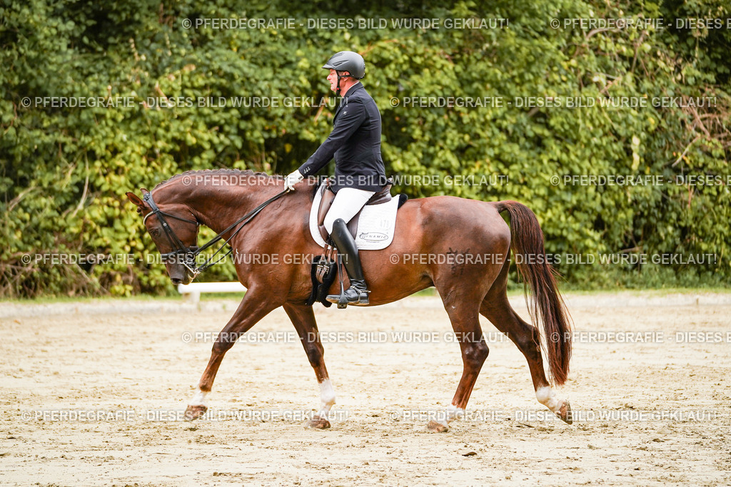 DSC03702 | Pferdegrafie