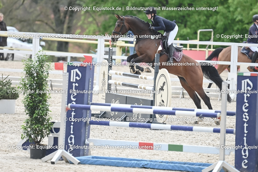 20230514_CCI2_Section1_Springen_0081 | equistock