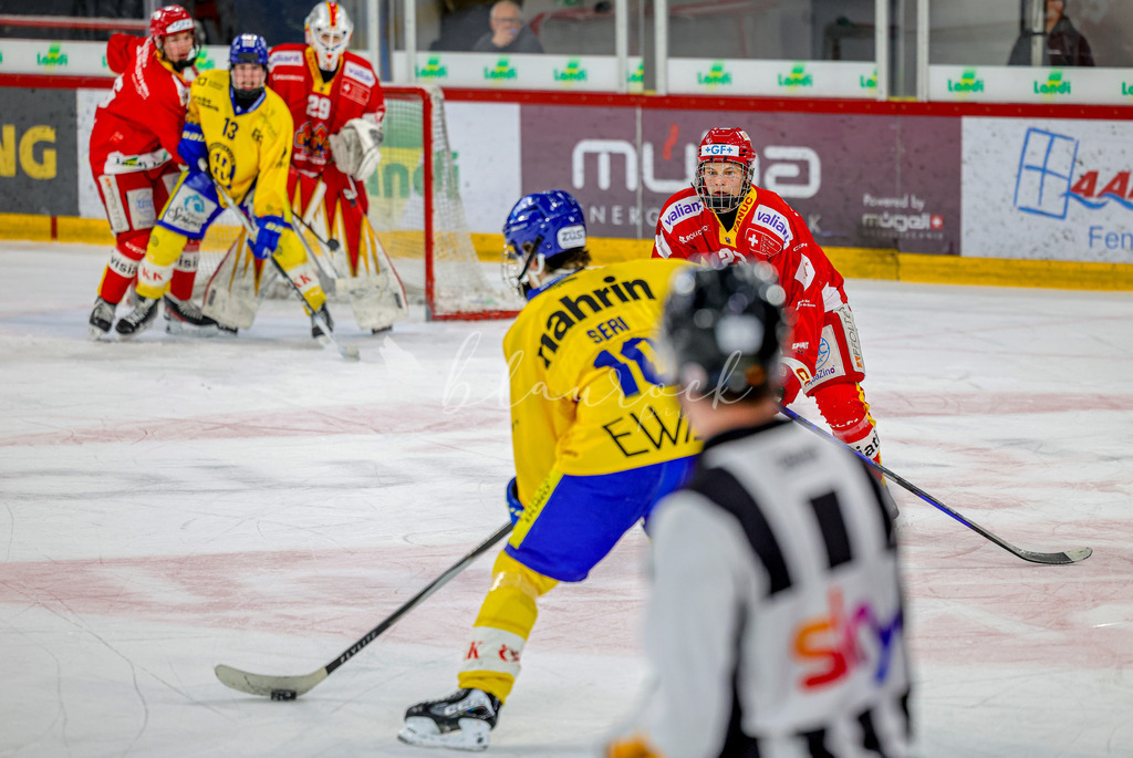 EHCB vs HCD-0870 | Sportbilder, Sportfotograf, Hochzeits- und Eventfotografin, Flugshows, Portraits und Tiershooting, Aviation, Downhill, Nationalleague, Swissleague, International