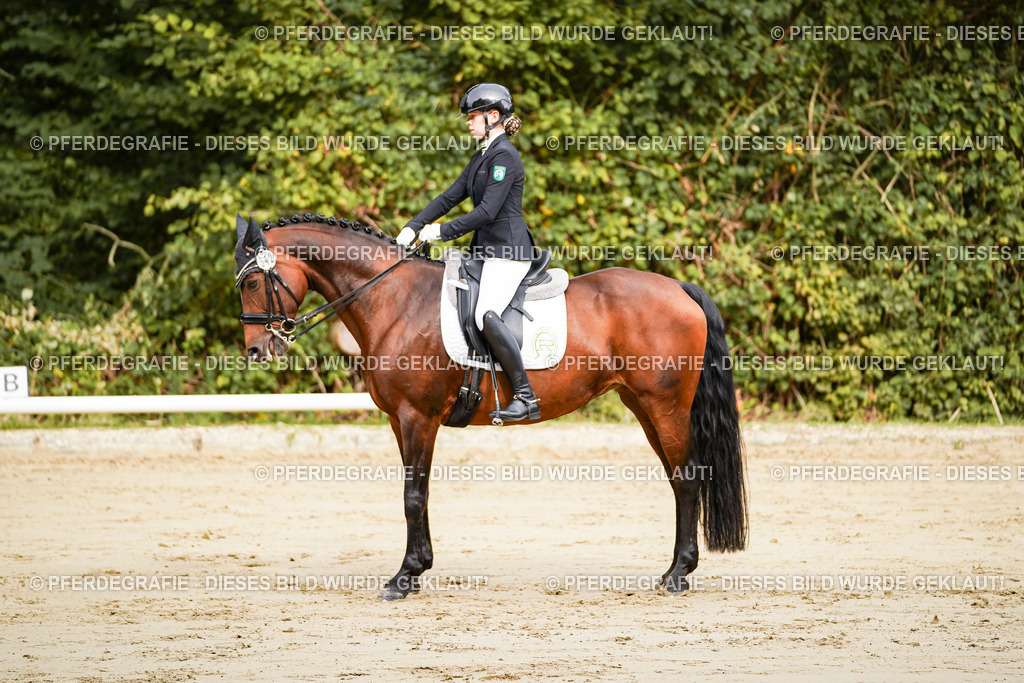 DSC01783 | Pferdegrafie