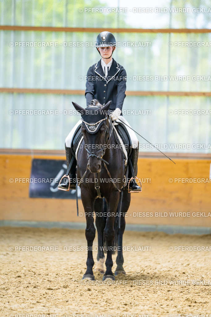 DSC09302 | Pferdegrafie