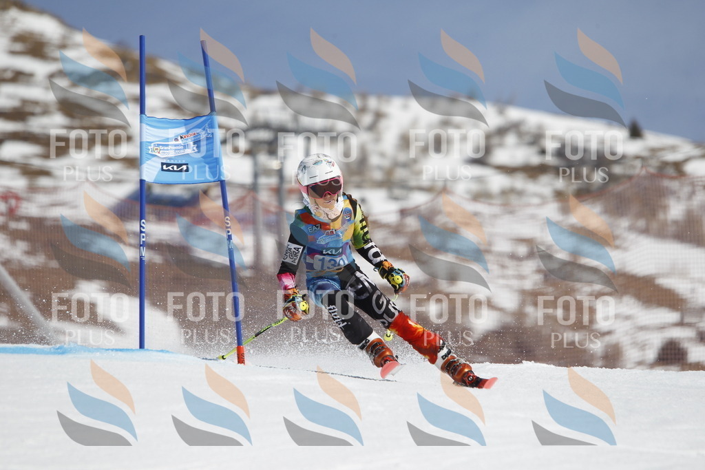 _U3G0851 | holidayphoto