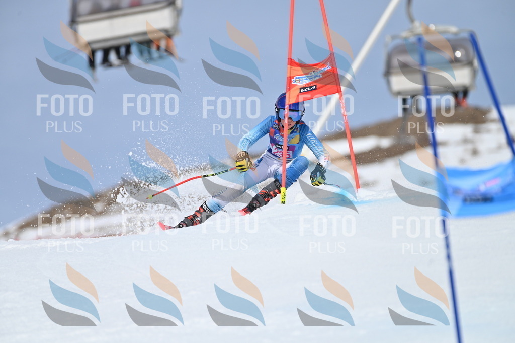 BGV_1586 | holidayphoto