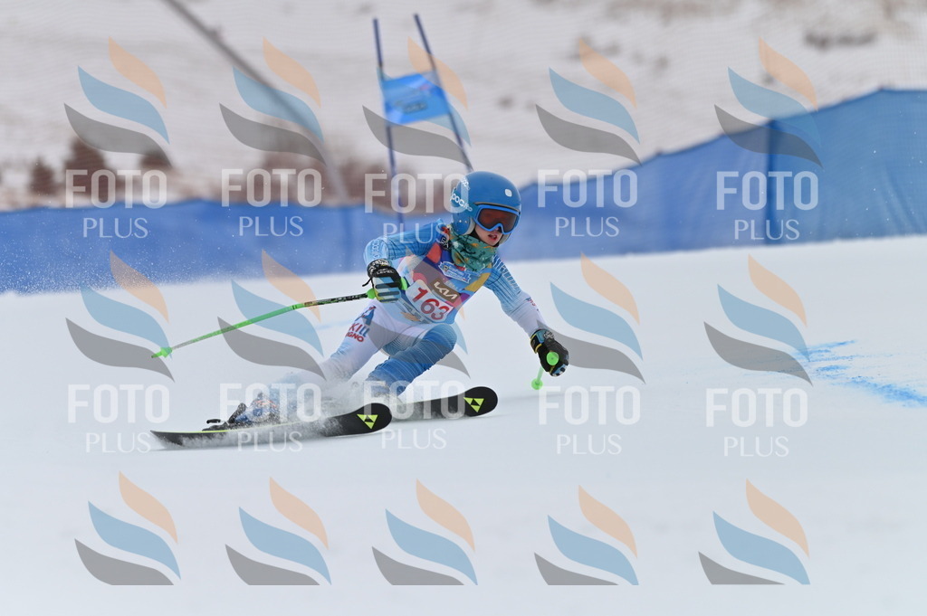 BGV_0260 | holidayphoto