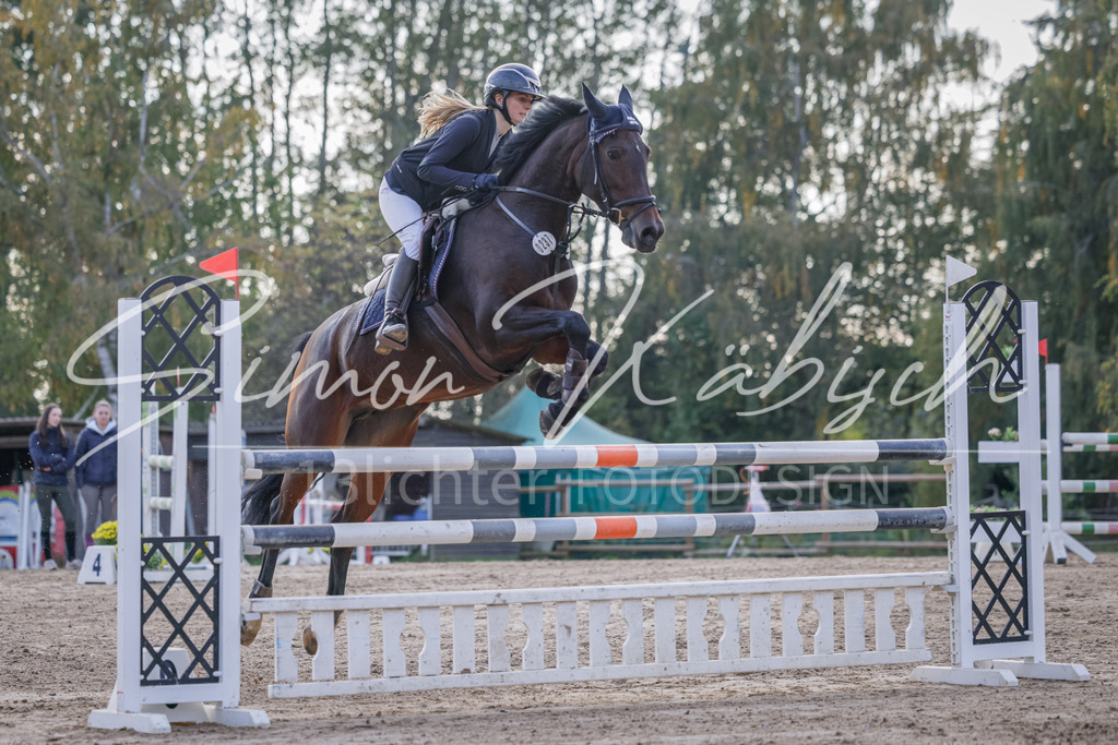 20251012-_3LI5712 | Tierfotografie Pferde, Hunde, Katzen, Haustiere.
Turnierfotografie Reitturniere, Reiten, Springreiten, Dressur in Hanau, dem Main-Kinzig-Kreis und dem Rhein-Main- Gebiet um Frankfurt