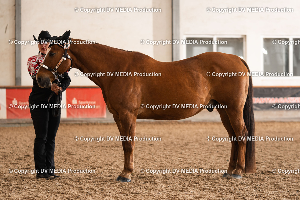 Heiligenwald Tag 2-346 | dv-media-shop - Realisiert mit Pictrs.com